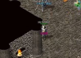 在《网通传奇》中，玩家对宝塔的攻略