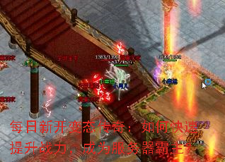 ÿ¿̬棺οսΪ