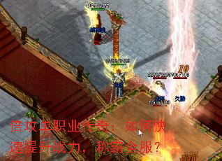 ְҵ棺οսưȫ