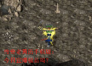 ϻֻ棺˱Ʒ