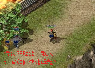 SF䣺ɢο