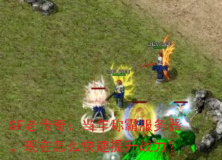 SFϴ棺ưԷôս