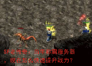 SFϴ棺ưԷôս