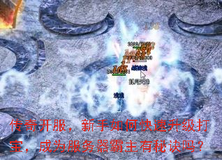 濪ο򱦣Ϊؾ