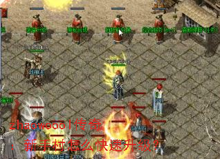 zhaowoool棺ִô