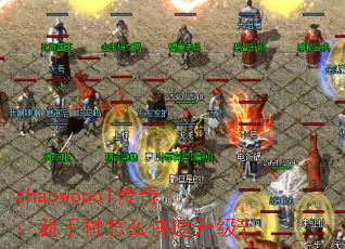 zhaowoool棺ִô