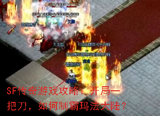 SFϷԣһѵư귨½