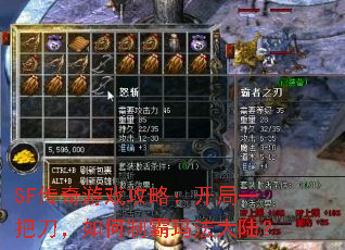 SFϷԣһѵư귨½