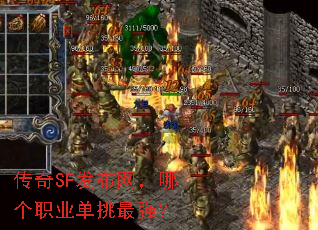 SFĸְҵǿ