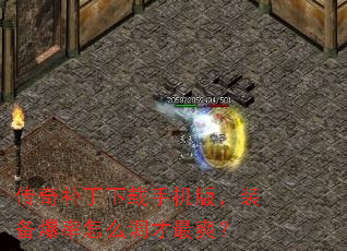油ֻ棬װôˬ