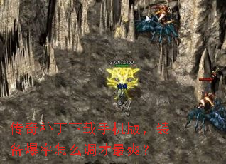 油ֻ棬װôˬ