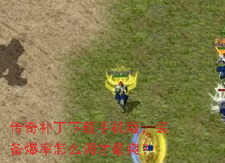 油ֻ棬װôˬ
