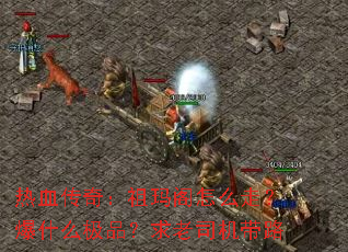 Ѫ棺ôߣʲôƷ˾·