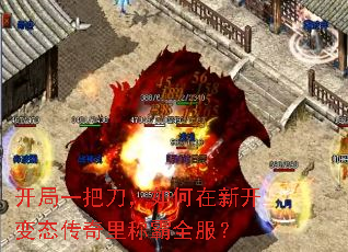һѵ¿̬ưȫ