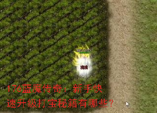 176ħ棺ֿؼЩ