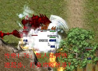 1.76ɢο𲽣Է