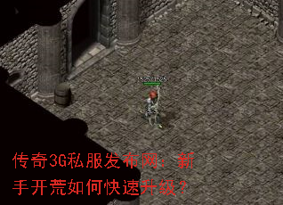 3G˽ֿο