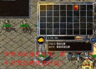 3G˽ֿο