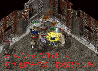 zhaosfcomսʿοȼư귨½