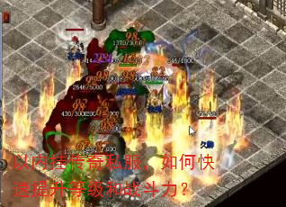 ڹҴ˽οȼս