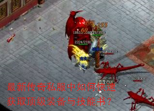 ´˽οٻȡװ뼼飿