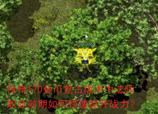 170ҸŰ汾зʦְҵǰοս