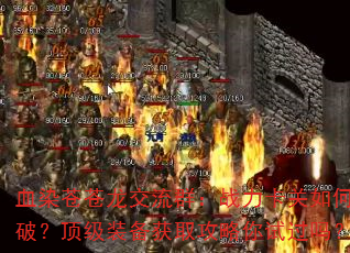 ѪȾԲȺսƣװȡԹ