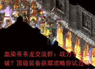 ѪȾԲȺսƣװȡԹ