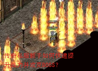 ˽οսBOSS