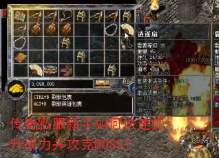 ˽οսBOSS