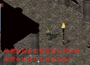 传奇私服合击新开服如何快速掌握合击技巧与升级攻略? 传奇私服合击新开服如何快速掌握合击技巧与升级攻略?