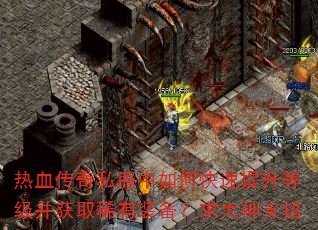热血传奇私服中如何快速提升等级并获取稀有装备?求大神支招 热血传奇私服中如何快速提升等级并获取稀有装备?求大神支招