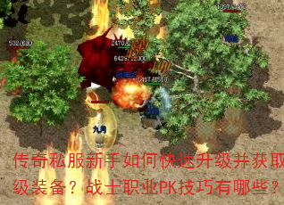 ˽οȡװսʿְҵPKЩ