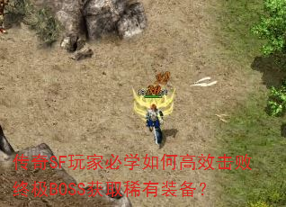 SFұѧθЧռBOSSȡϡװ