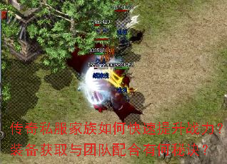 传奇私服家族如何快速提升战力?装备获取与团队配合有何秘诀? 传奇私服家族如何快速提升战力?装备获取与团队配合有何秘诀?