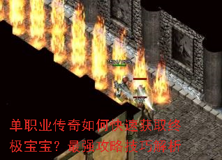 单职业传奇如何快速获取终极宝宝?最强攻略技巧解析 单职业传奇如何快速获取终极宝宝?最强攻略技巧解析