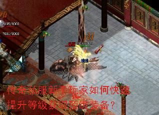传奇私服新手玩家如何快速提升等级获取顶级装备? 传奇私服新手玩家如何快速提升等级获取顶级装备?